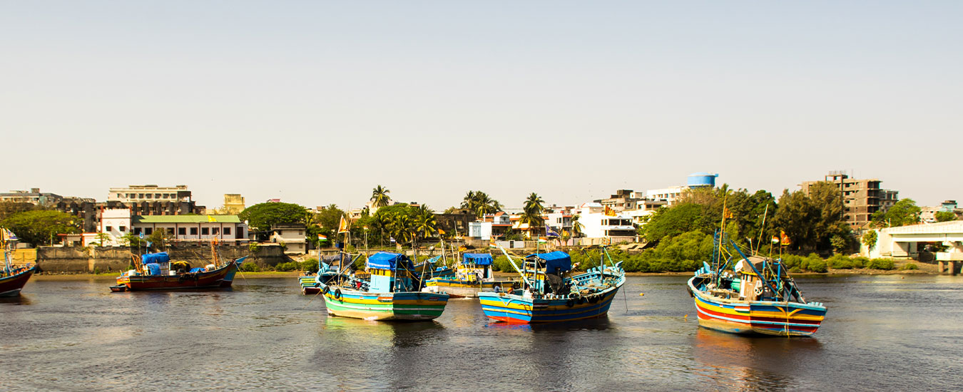 Explore the Local Area